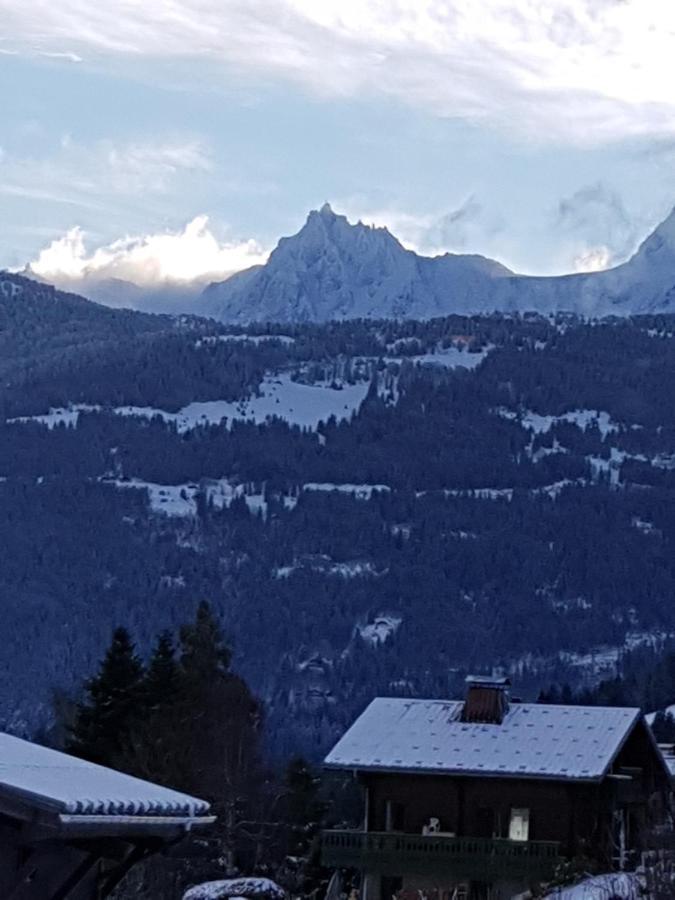 Appartement - Combloux Exteriör bild